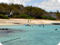 Palmar Beach, Mauritius