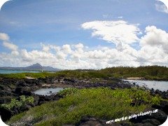 Palmar Beach, Mauritius